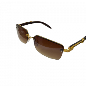 Glasses 2019