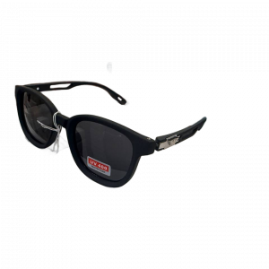 Glasses 2029